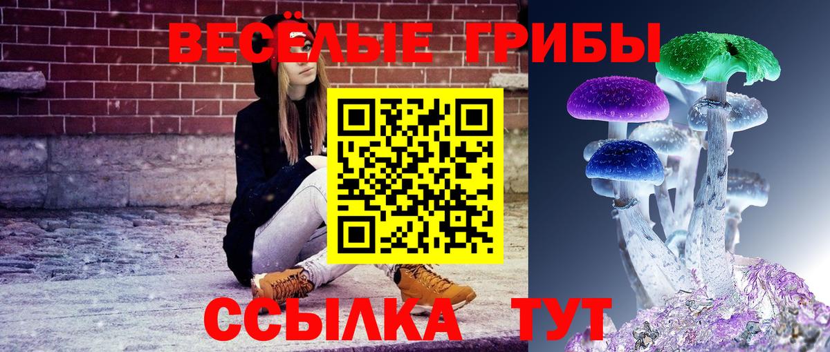Губкин  где найти наркотики  Вход с VPN  Галлюциногенные грибы Psilocybe 
